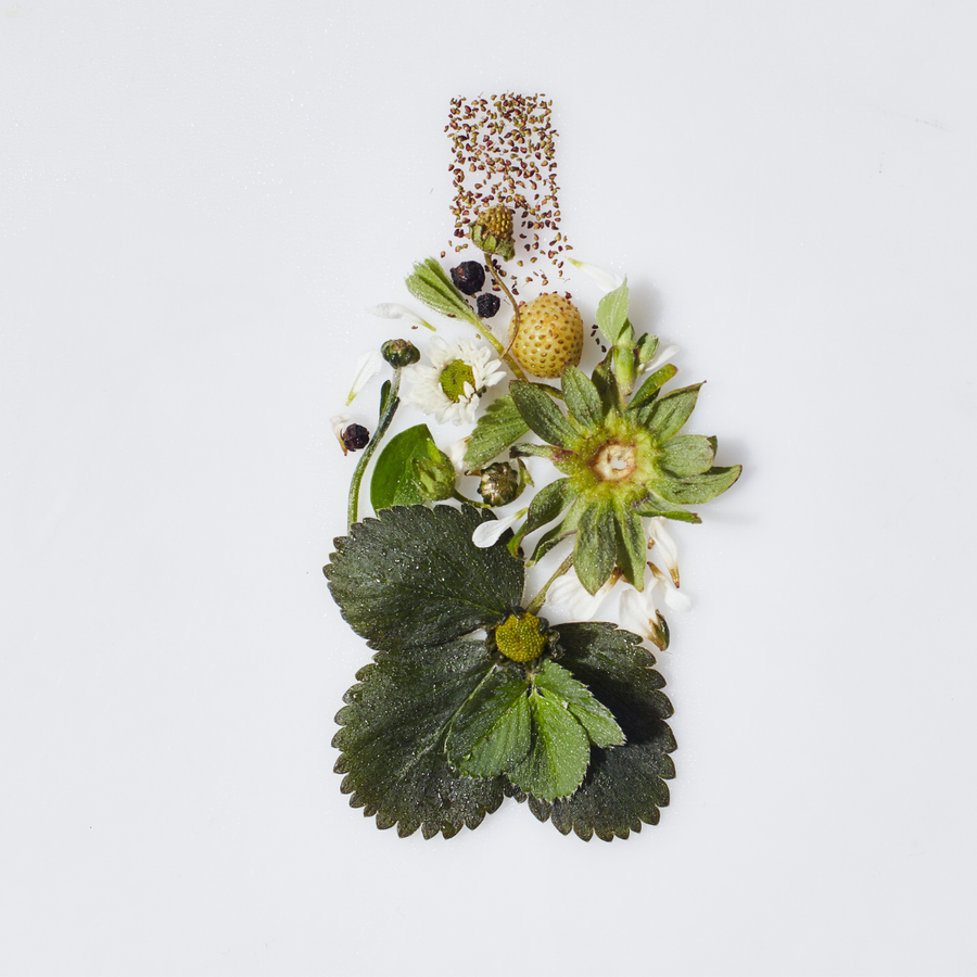 Strawberry Eau De Parfum