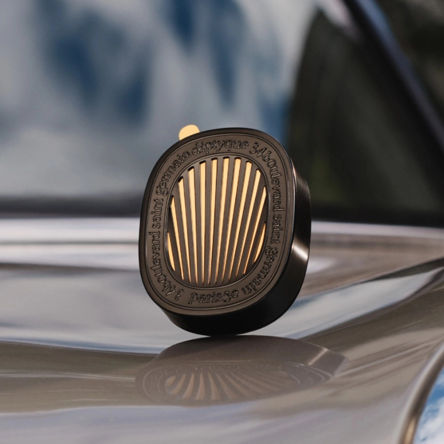 Car Diffuser With Baies Insert