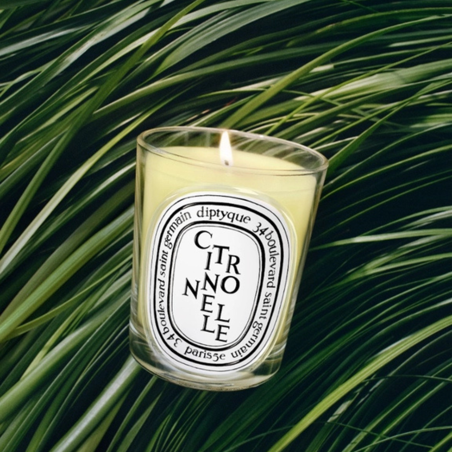 Citronnelle Classic Candle