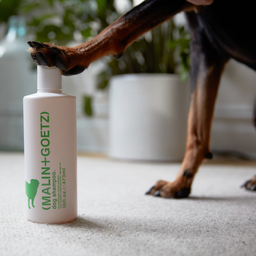 Dog Shampoo