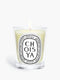 diptyque-choisya-scented-candle-190g-in-white-background