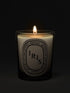 diptyque-iris-scented-candle-190g-in-dark-background