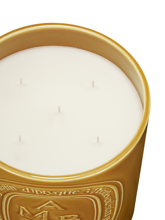 diptyque-ambre-scented-candle-1500g-in-white-background