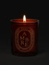 diptyque-ambre-scented-candle-300g-in-dark-background