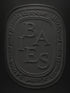 diptyque-baies-scented-candle-1500g-logo