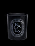 Baies / Berries Candle