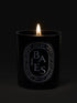 Baies / Berries Candle