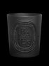 diptyque-baies-scented-candle-600g-in-white-background