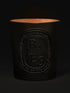 diptyque-baies-scented-candle-600g-in-dark-background