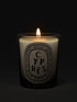 diptyque-cypres-scented-candles-190g-on-dark-background