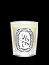 diptyque-eucalyptus-scented-candle-190g-in-white-background