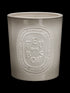 diptyque-feu-de-bois-scented-candle-1500g-in-white-background