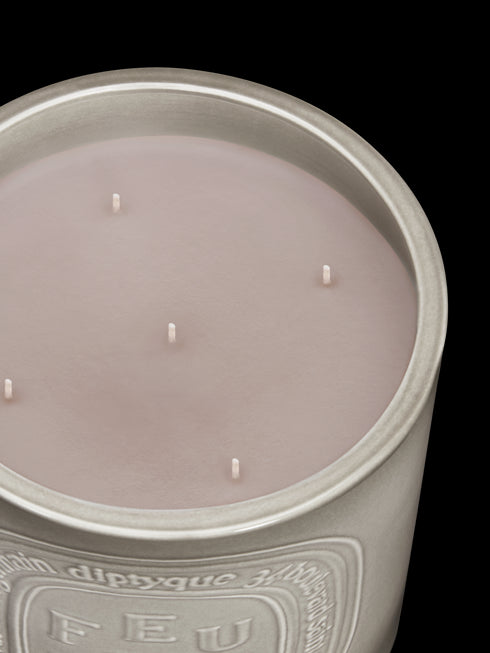 diptyque-feu-de-bois-scented-candle-in-white-background