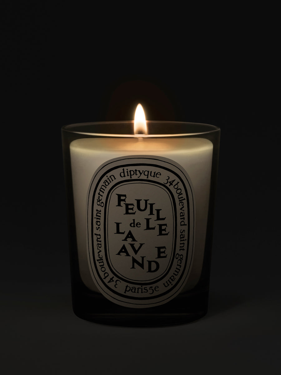 diptyque-feuille-de-lavande-scented-candle-190g-in-dark-background