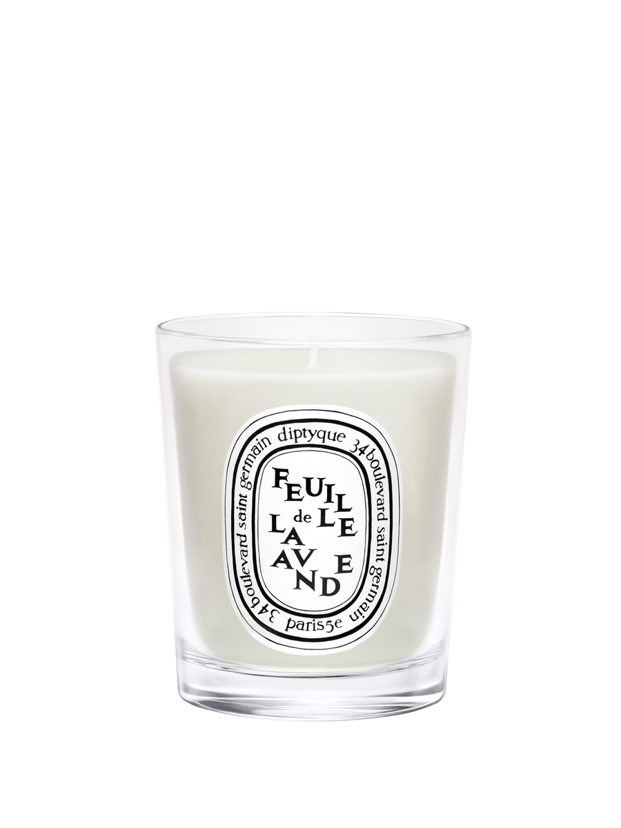 diptyque-feuille-de-lavande-small-scented-candle-70g-in-white-background
