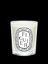 diptyque-figuier-scented-candle-190g-in-white-background