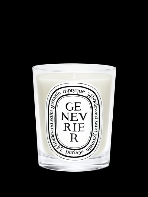 diptyque-genevrier-scented-candle-190g-in-white-background