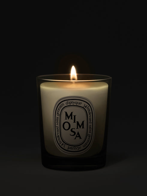 diptyque-mimosa-small-scented-candle-70g-in-dark-background