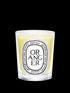 diptyque-oranger-scented-candle-190g-in-white-background