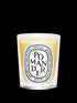 diptyque-pomander-scented-candle-190g-in-white-background