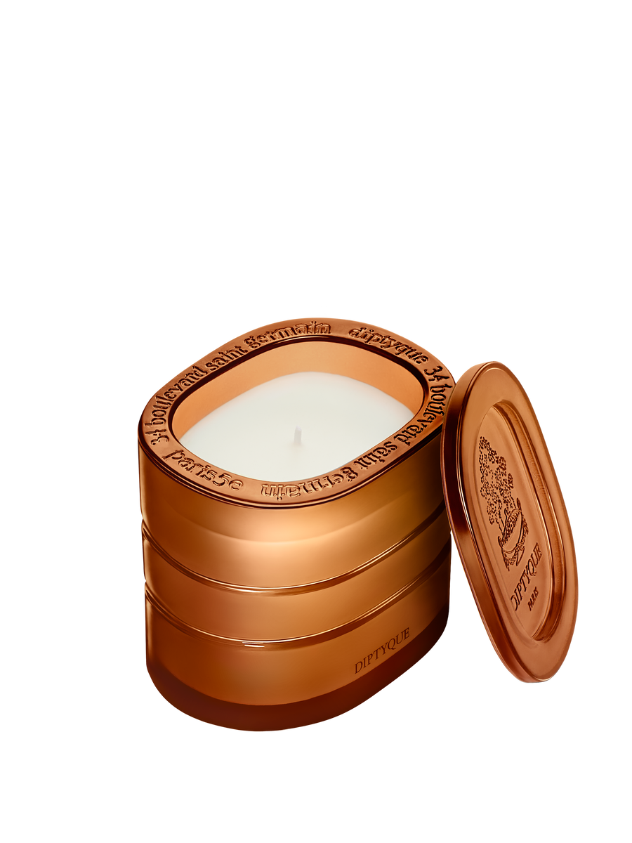 diptyque-premium-scented-candle-terres-blondes