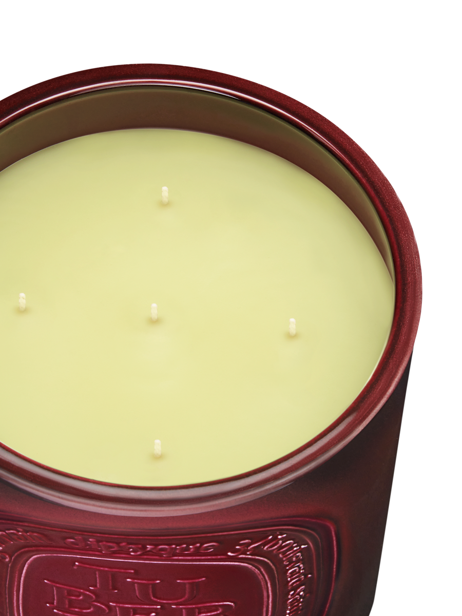 diptyque-tubereuse-scented-candle-1500g-in-white-background