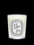diptyque-verveine-scented-candle-190g-in-white-background
