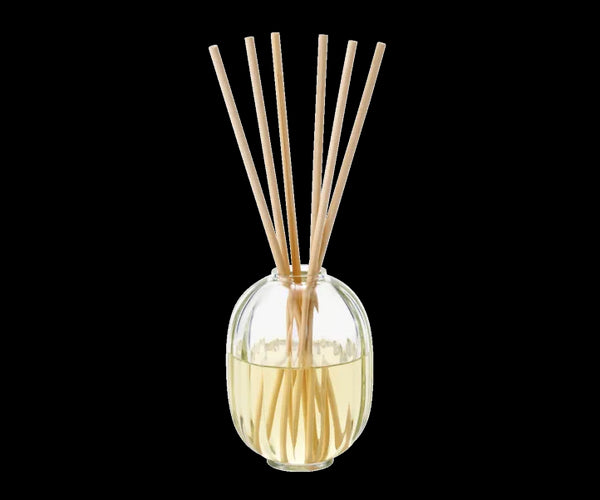 34 Boulevard Saint Germain Home Fragrance Diffuser