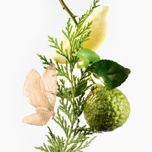 Eau D'hadrien Eau De Parfum