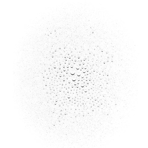 Queen Of Hungary Mist