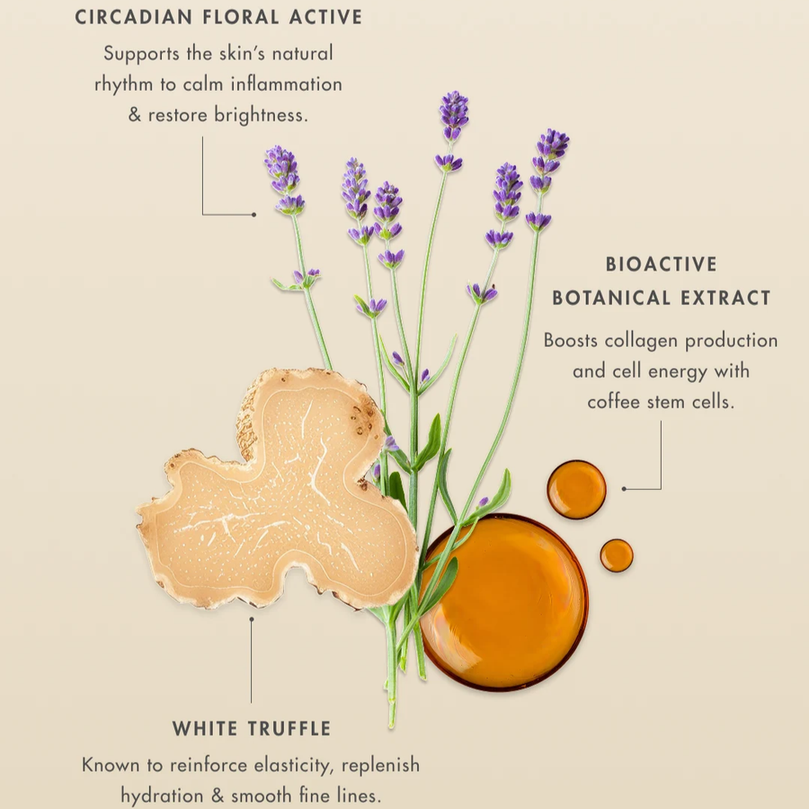 Renewal Intensive Treatment