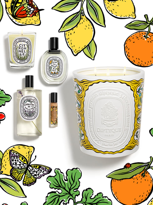 [Diptyque Pavilion Damansara Heights] Summer Fruit Garden Repotting Workshop