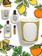 [Diptyque Pavilion Damansara Heights] Summer Fruit Garden Repotting Workshop