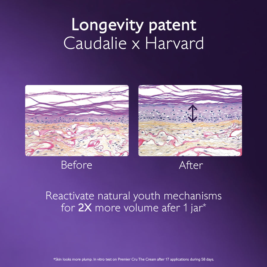 Premier Cru The Serum