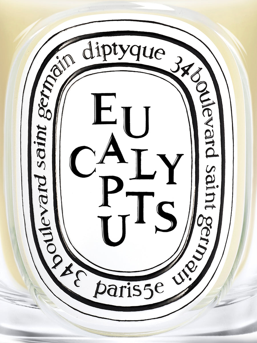 Eucalyptus Classic Candle