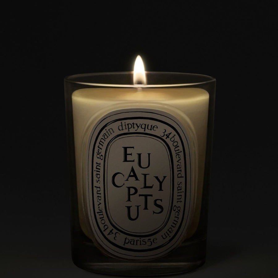 Eucalyptus Classic Candle
