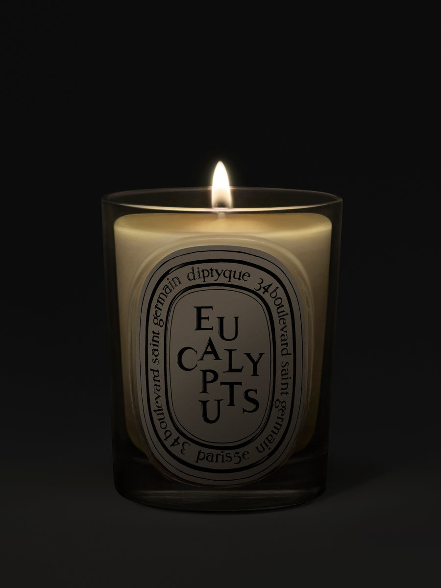 Eucalyptus Classic Candle