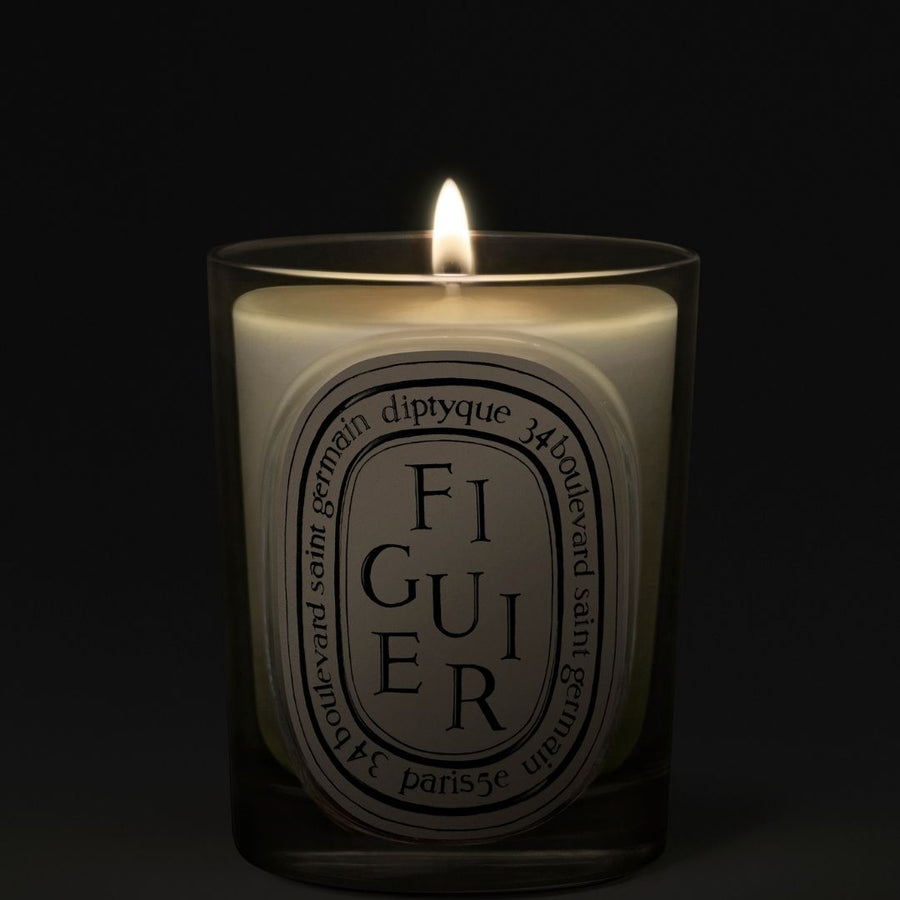Figuier (Fig Tree) Classic Candle