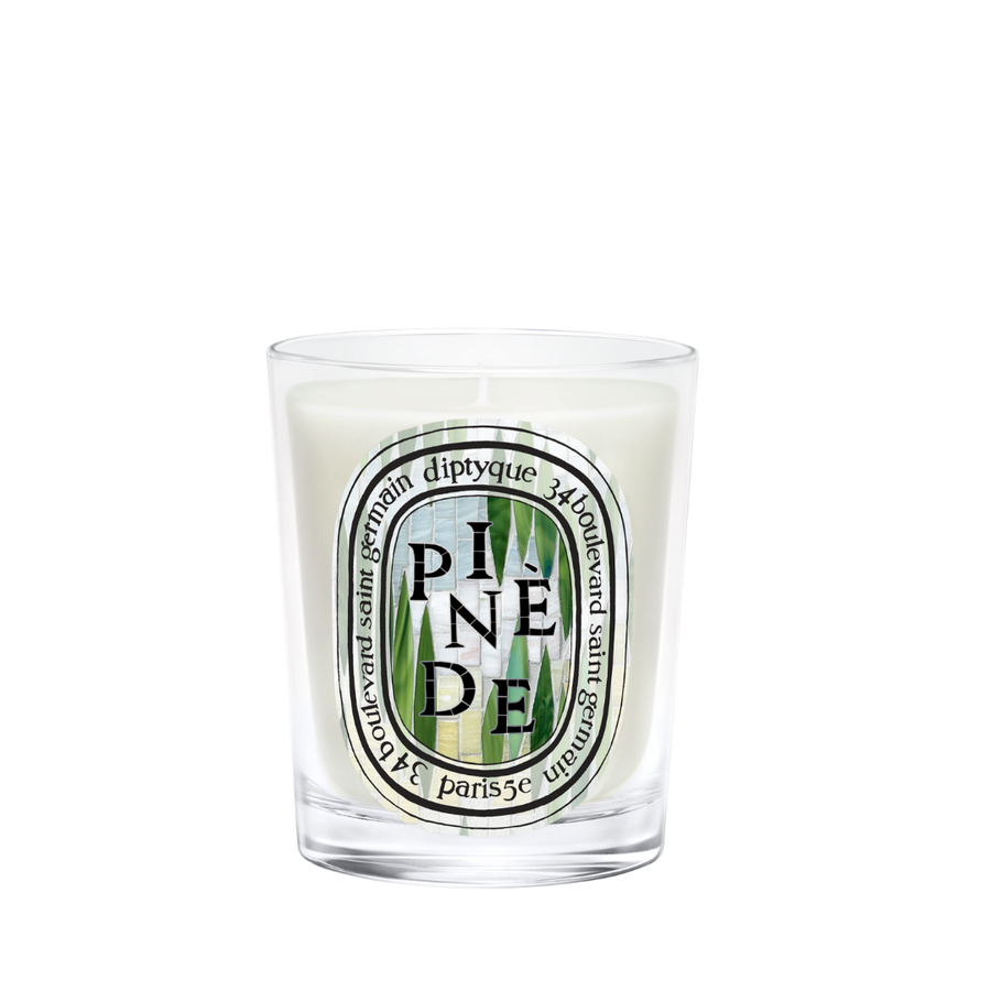 [Limited Edition] Pinède (Pine Grove) Classic Candle