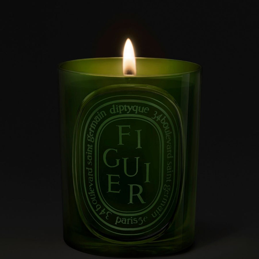 Figuier (Fig Tree) Medium Candle