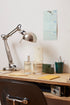 Sage Home Spray