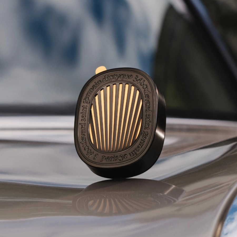 Car Diffuser With Figuier Insert
