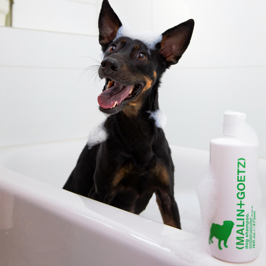 Dog Shampoo