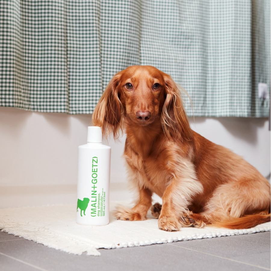 Dog Shampoo