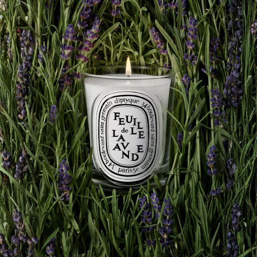 Feuille de Lavande (Lavender Leaf) Classic Candle