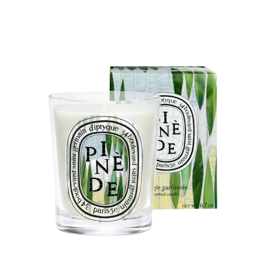 [Limited Edition] Pinède (Pine Grove) Classic Candle