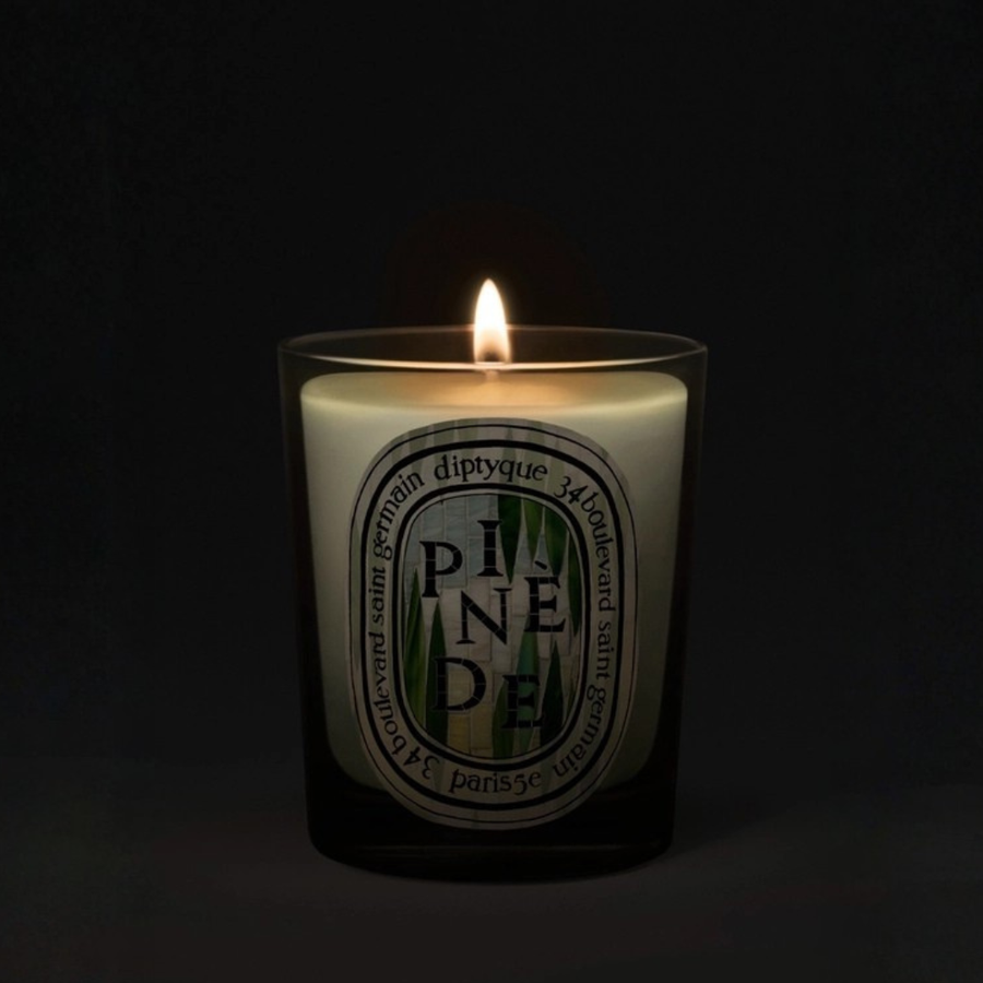 [Limited Edition] Pinède (Pine Grove) Classic Candle