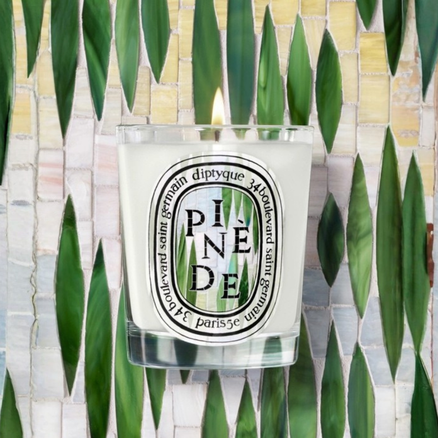 [Limited Edition] Pinède (Pine Grove) Classic Candle