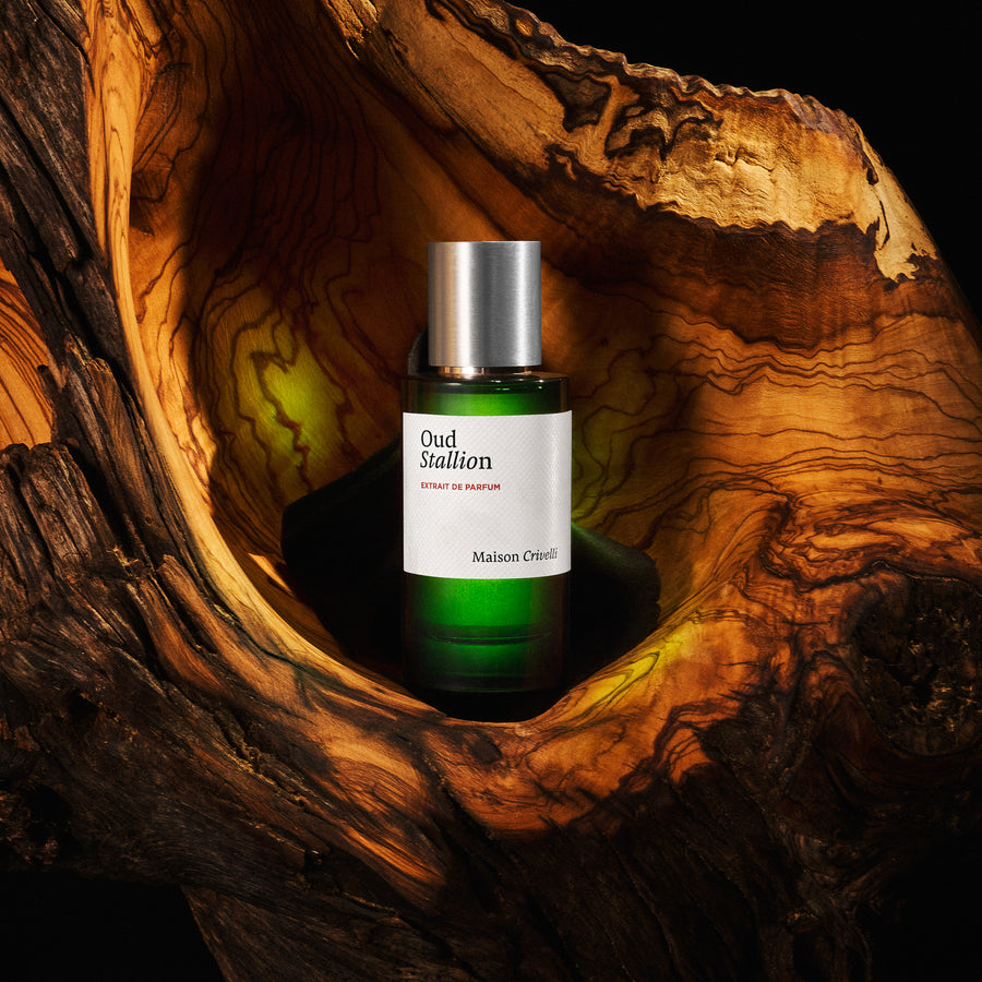 Oud Stallion