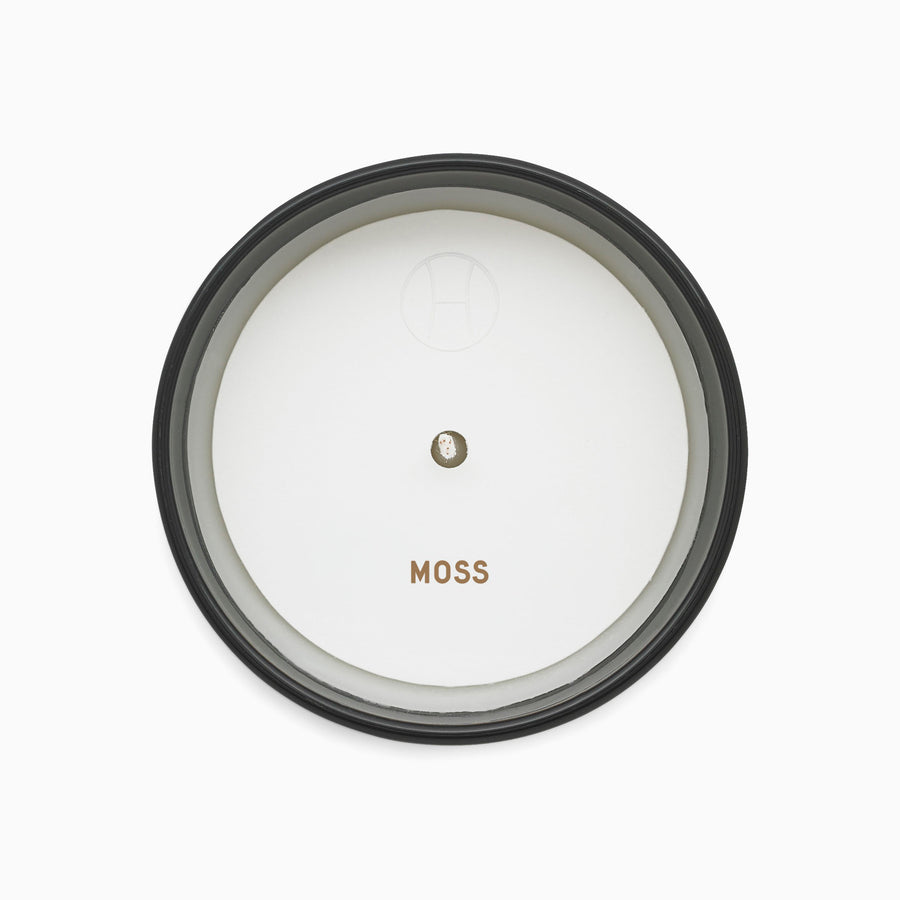 Candle Moss
